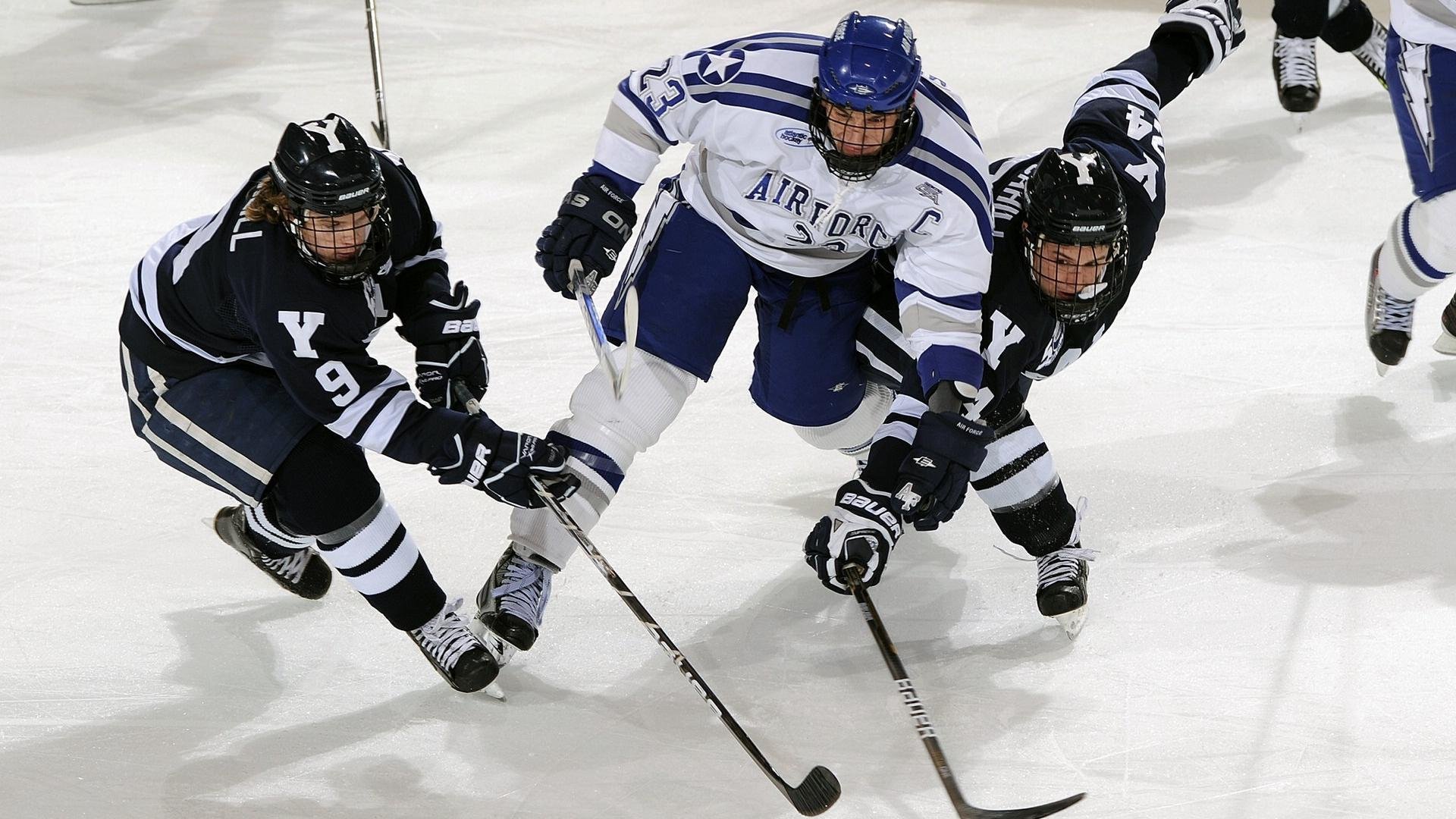 _极地探险骑行：在冰雪世界中追逐自由_，极地探险介绍
